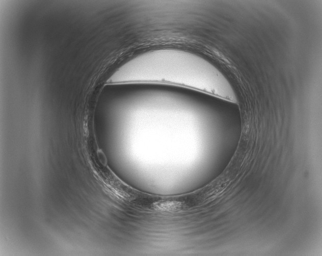 X0000068810452200605050921