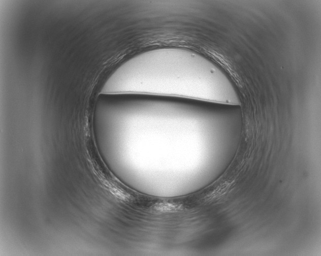 X0000068810453200605050921