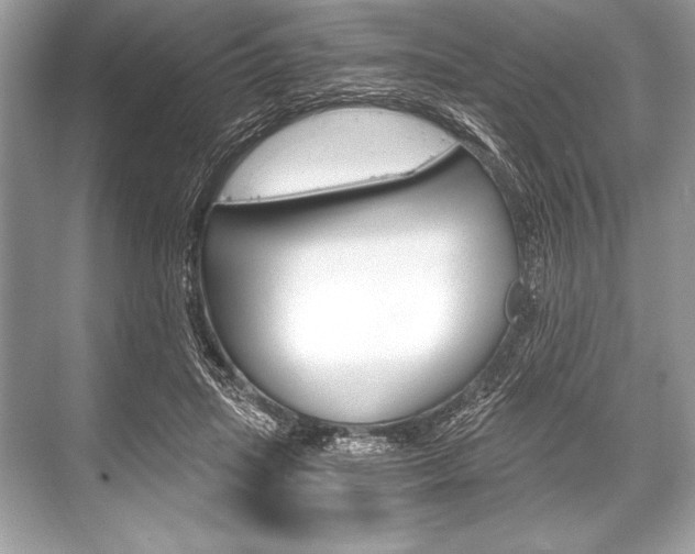 X0000068810455200605050921