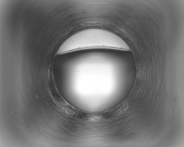 X0000068810456200605050921