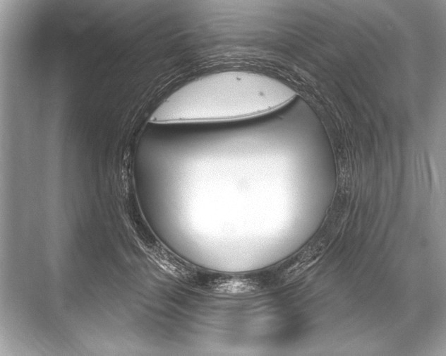 X0000068810460200605050921