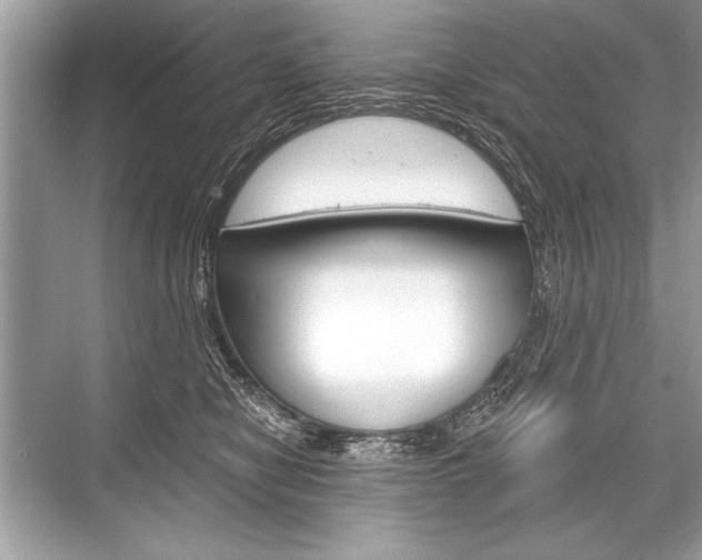 X0000068810470200605050921
