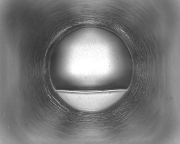 X0000068810484200605050920