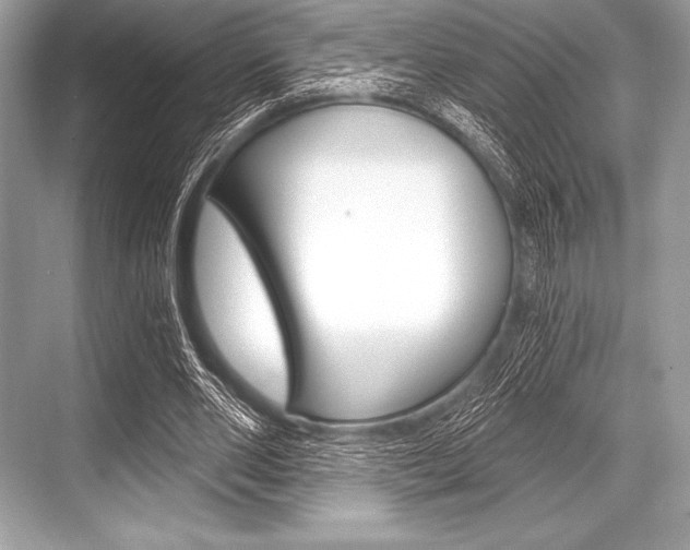 X0000068810486200605050920