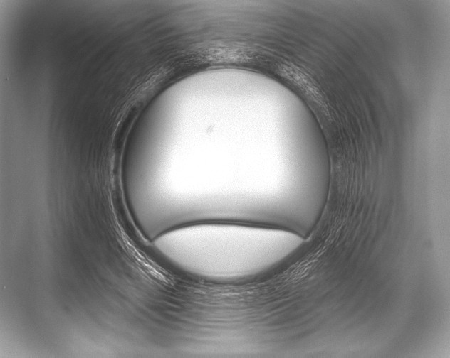 X0000068810490200605050920