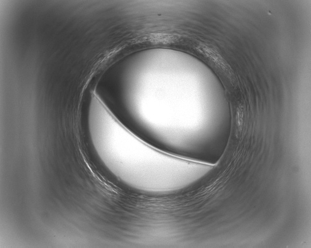 X0000068810492200605050920