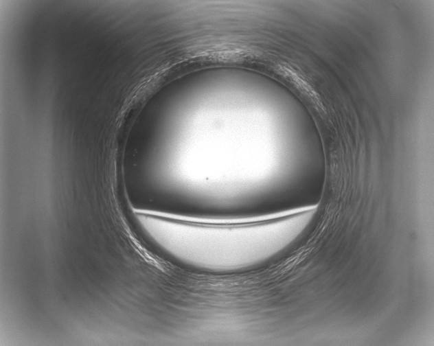 X0000068810493200605050920