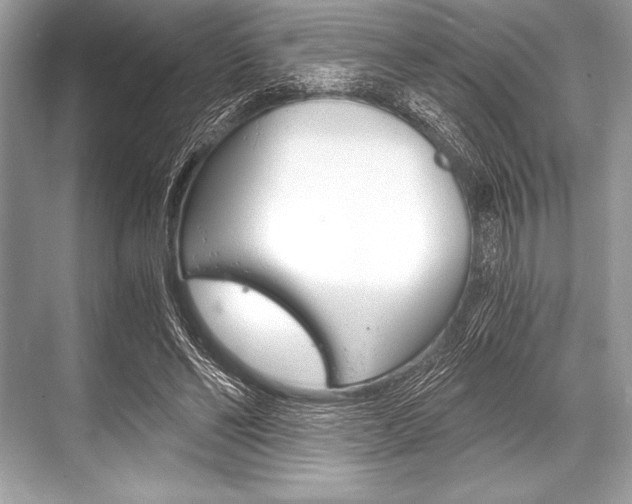 X0000068810494200605050920