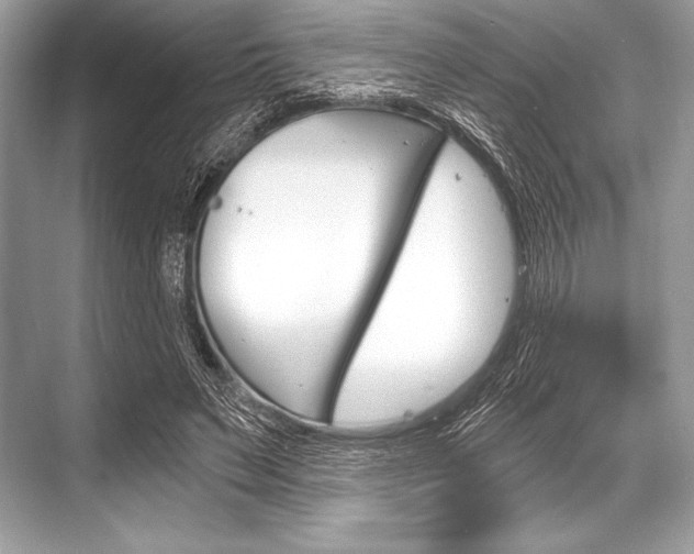X0000068810495200605050920