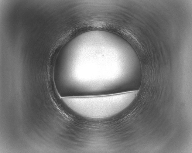 X0000068810496200605050920