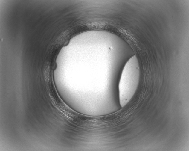 X0000068810498200605050920