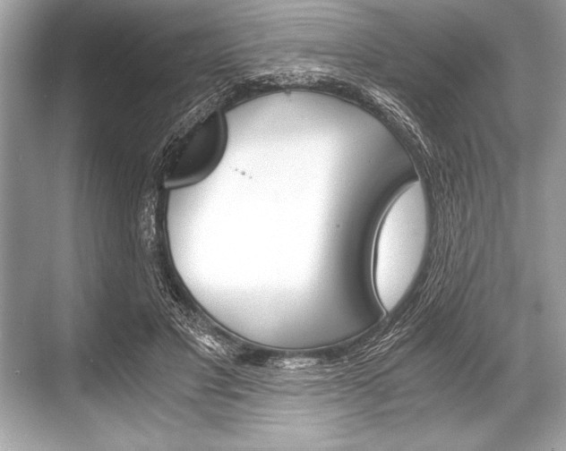 X0000068810501200605050920