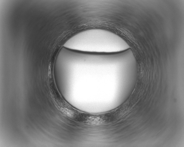X0000068810502200605050920