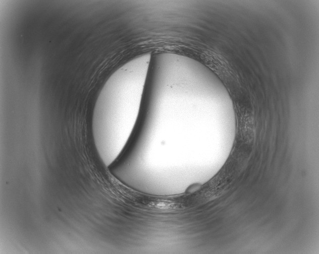 X0000068810506200605050920