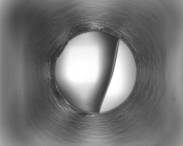 X0000068810512200605050920