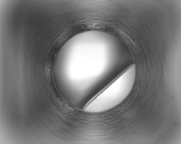 X0000068810513200605050920