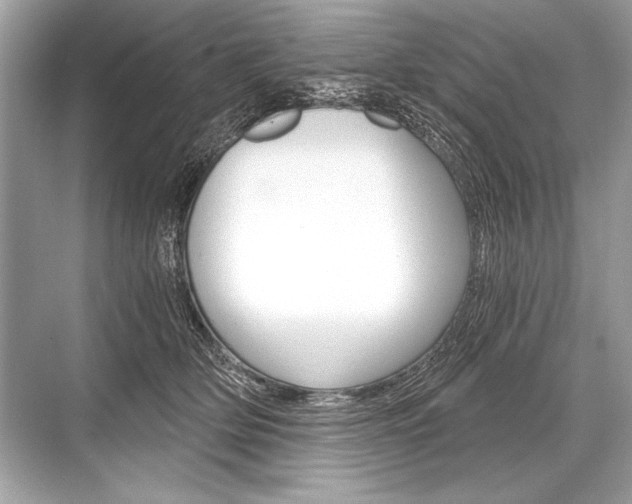 X0000068810514200605050920