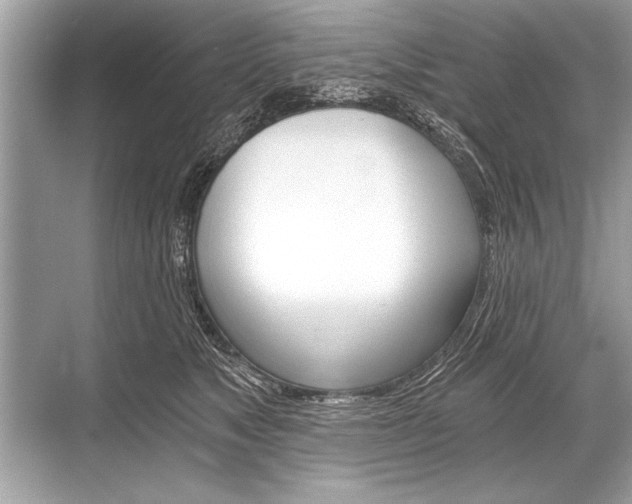 X0000068810517200605050920