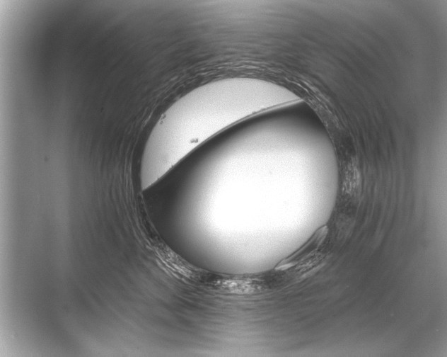 X0000068810524200605050920