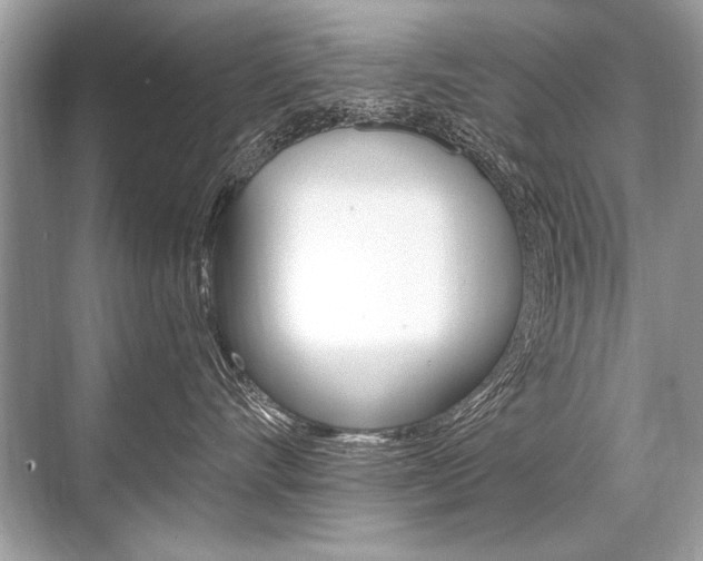 X0000068810528200605050920