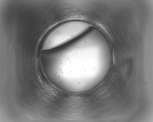 X0000068810531200605050919