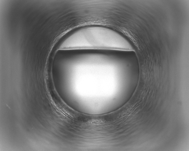 X0000068810536200605050919