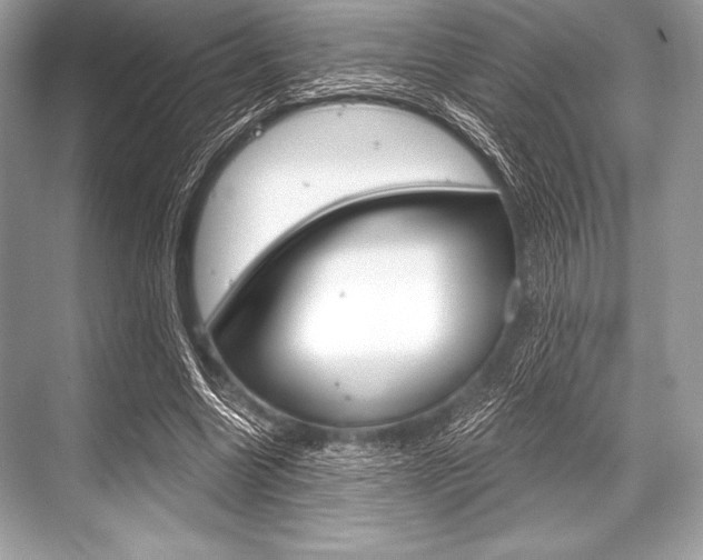 X0000068810538200605050919