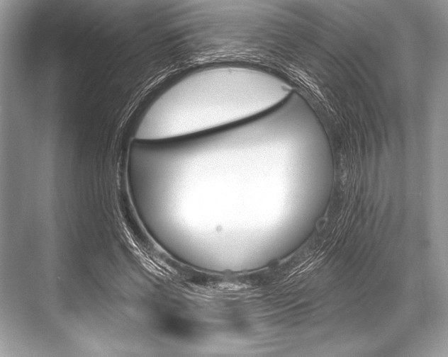 X0000068810542200605050919