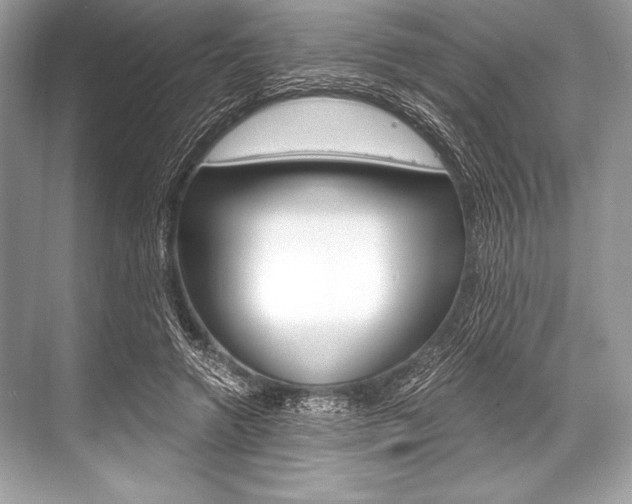 X0000068810546200605050919