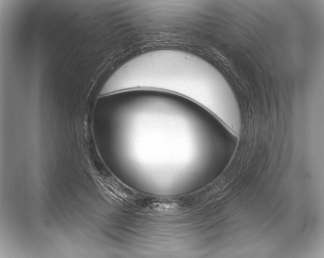 X0000068810552200605050919