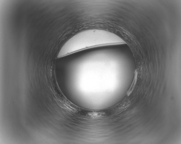 X0000068810558200605050919