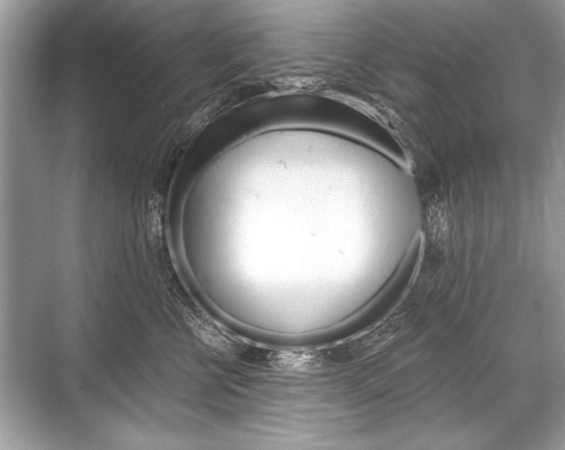X0000068810570200605050919