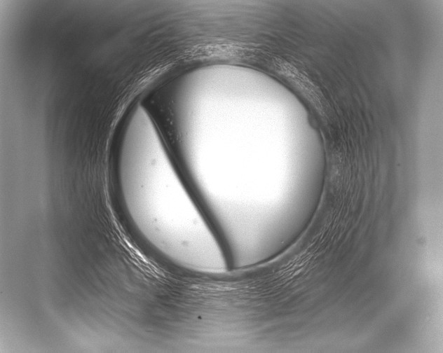 X0000068810578200605050919
