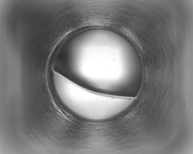 X0000068810580200605050919