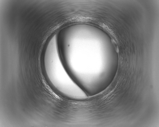 X0000068810581200605050919