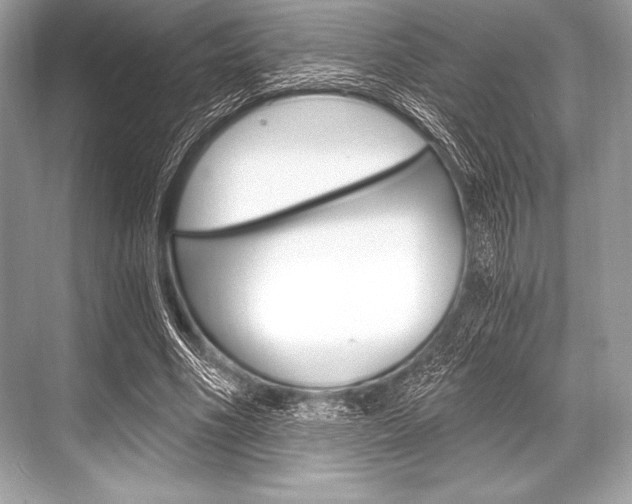 X0000068810586200605050919