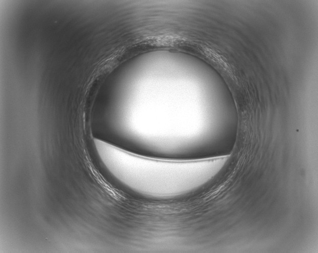 X0000068810589200605050919