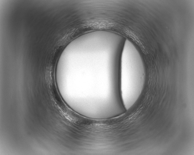 X0000068810590200605050919