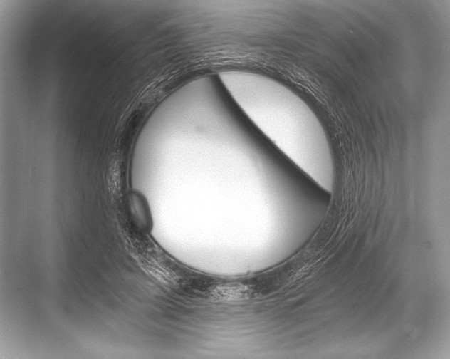 X0000068810595200605050918
