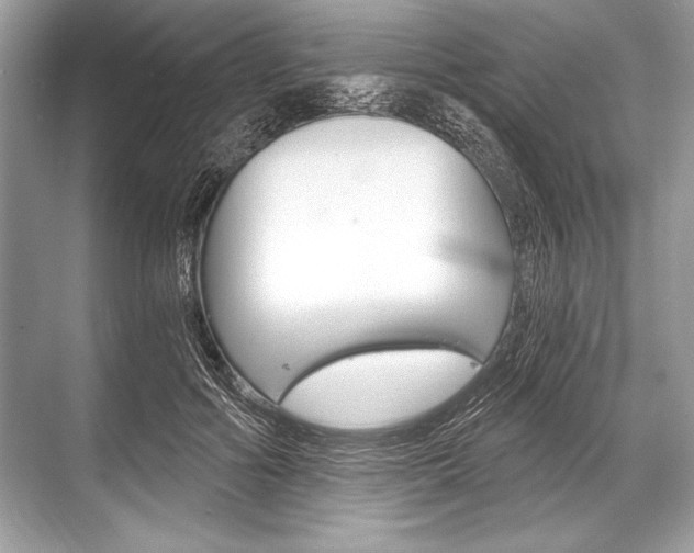 X0000068810602200605050918