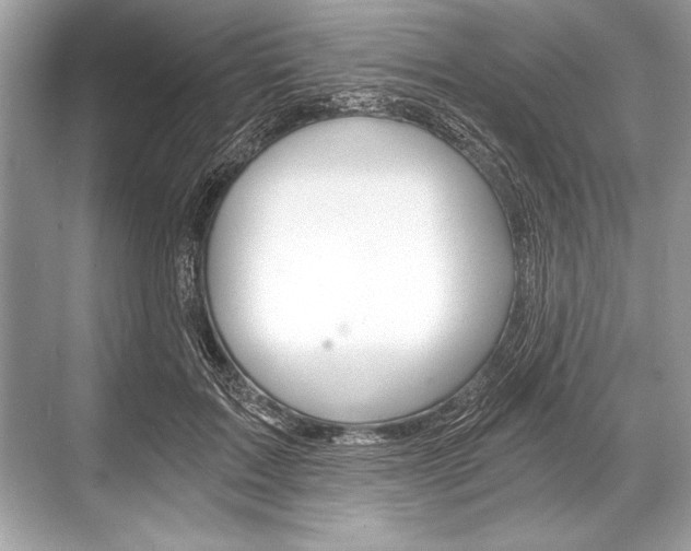 X0000068810603200605050918