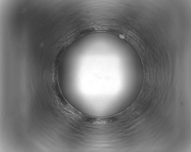 X0000068810604200605050918