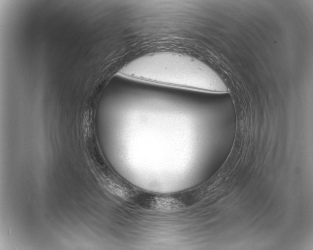 X0000068810605200605050918