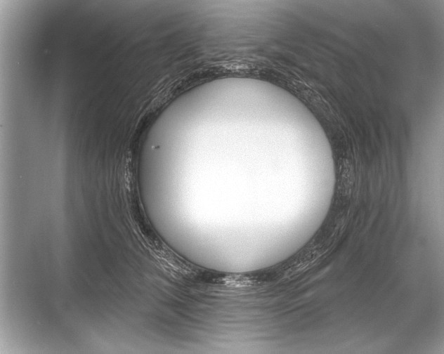 X0000068810612200605050918