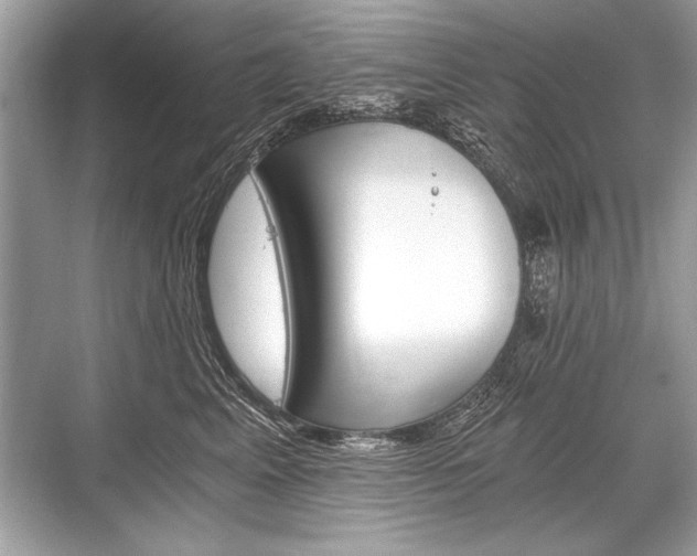 X0000068810617200605050918