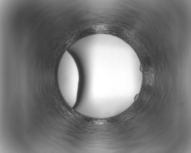 X0000068810618200605050918