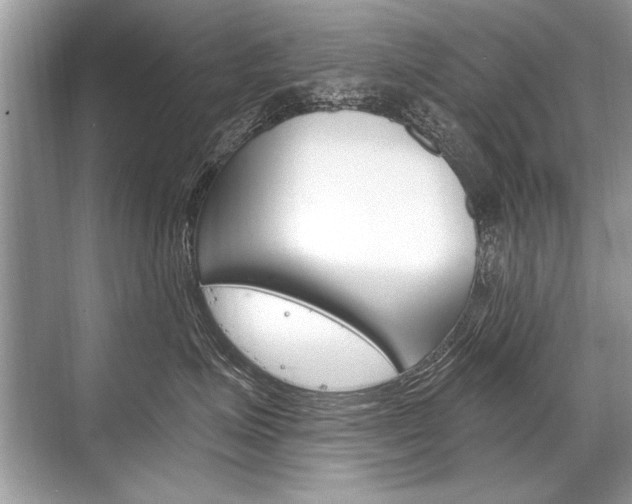 X0000068810623200605050918