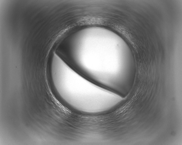 X0000068810629200605050917