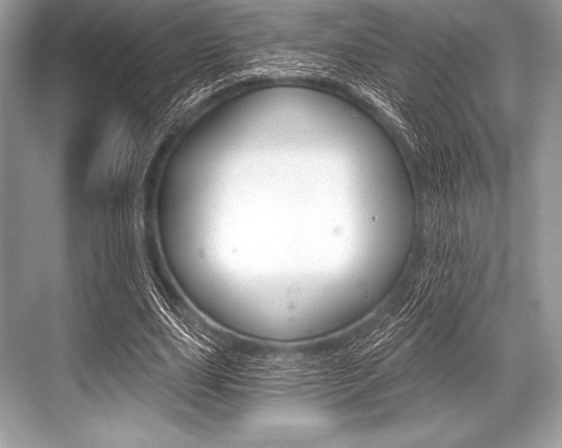 X0000068810631200605050917