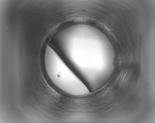 X0000068810637200605050917